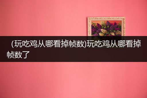 （玩吃鸡从哪看掉帧数)玩吃鸡从哪看掉帧数了