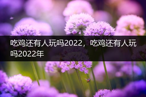 吃鸡还有人玩吗2022，吃鸡还有人玩吗2022年