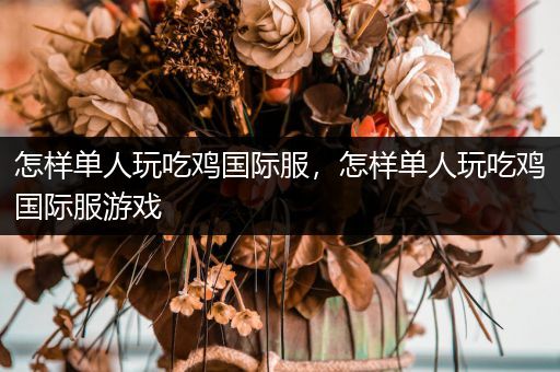 怎样单人玩吃鸡国际服，怎样单人玩吃鸡国际服游戏
