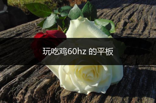 玩吃鸡60hz 的平板