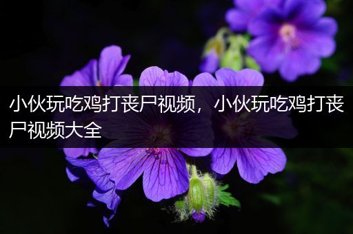 小伙玩吃鸡打丧尸视频，小伙玩吃鸡打丧尸视频大全