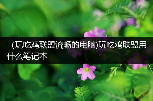 （玩吃鸡联盟流畅的电脑)玩吃鸡联盟用什么笔记本