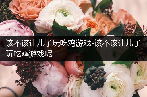 该不该让儿子玩吃鸡游戏-该不该让儿子玩吃鸡游戏呢