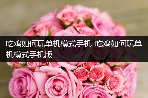 吃鸡如何玩单机模式手机-吃鸡如何玩单机模式手机版