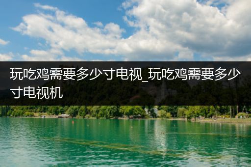 玩吃鸡需要多少寸电视_玩吃鸡需要多少寸电视机