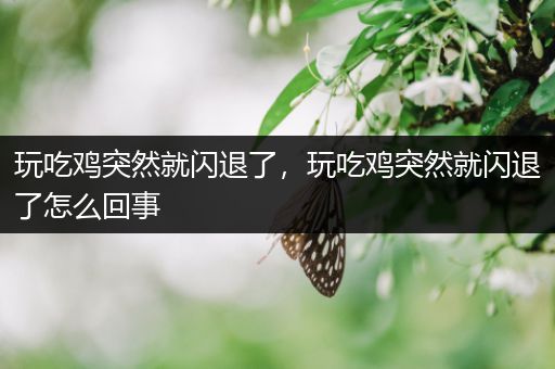 玩吃鸡突然就闪退了，玩吃鸡突然就闪退了怎么回事