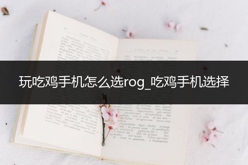 玩吃鸡手机怎么选rog_吃鸡手机选择