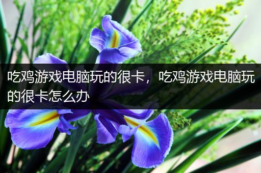 吃鸡游戏电脑玩的很卡，吃鸡游戏电脑玩的很卡怎么办