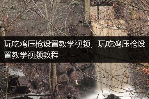 玩吃鸡压枪设置教学视频，玩吃鸡压枪设置教学视频教程