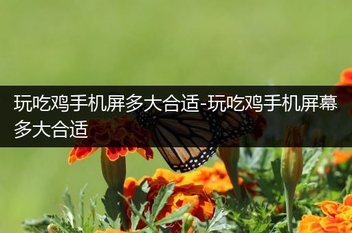玩吃鸡手机屏多大合适-玩吃鸡手机屏幕多大合适