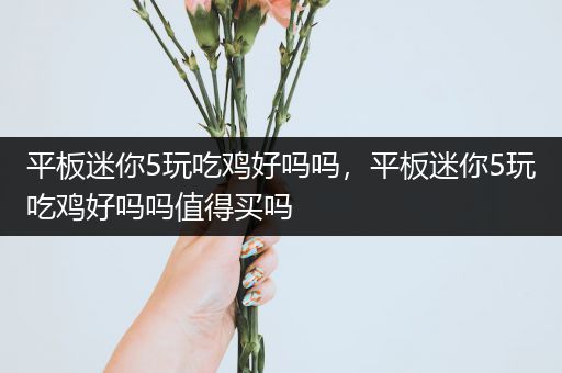 平板迷你5玩吃鸡好吗吗，平板迷你5玩吃鸡好吗吗值得买吗