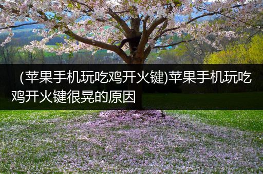 （苹果手机玩吃鸡开火键)苹果手机玩吃鸡开火键很晃的原因