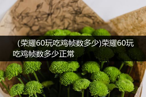 （荣耀60玩吃鸡帧数多少)荣耀60玩吃鸡帧数多少正常