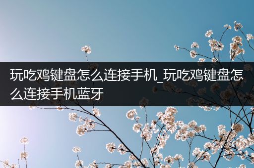 玩吃鸡键盘怎么连接手机_玩吃鸡键盘怎么连接手机蓝牙