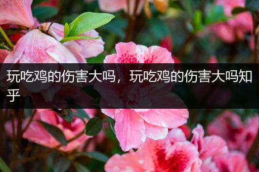 玩吃鸡的伤害大吗，玩吃鸡的伤害大吗知乎