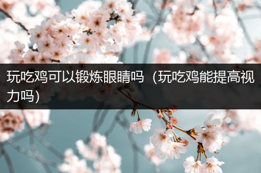 玩吃鸡可以锻炼眼睛吗（玩吃鸡能提高视力吗）