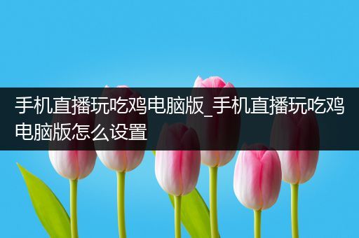 手机直播玩吃鸡电脑版_手机直播玩吃鸡电脑版怎么设置
