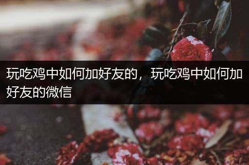 玩吃鸡中如何加好友的，玩吃鸡中如何加好友的微信