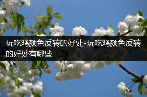 玩吃鸡颜色反转的好处-玩吃鸡颜色反转的好处有哪些