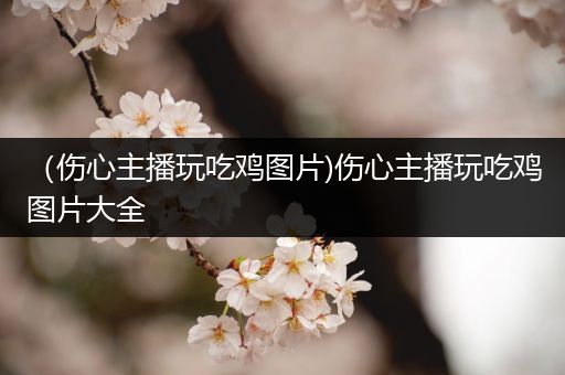 （伤心主播玩吃鸡图片)伤心主播玩吃鸡图片大全
