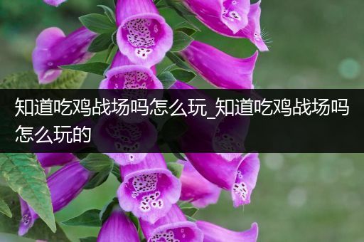 知道吃鸡战场吗怎么玩_知道吃鸡战场吗怎么玩的