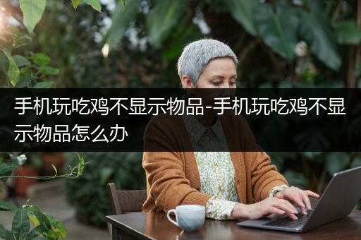 手机玩吃鸡不显示物品-手机玩吃鸡不显示物品怎么办