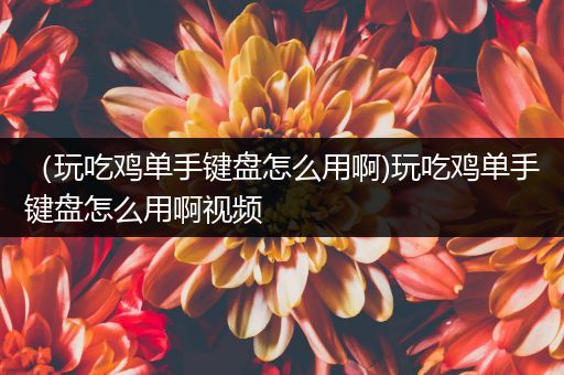 （玩吃鸡单手键盘怎么用啊)玩吃鸡单手键盘怎么用啊视频