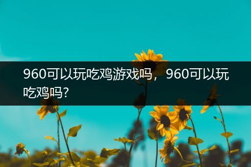 960可以玩吃鸡游戏吗，960可以玩吃鸡吗?