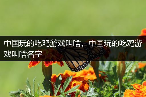 中国玩的吃鸡游戏叫啥，中国玩的吃鸡游戏叫啥名字
