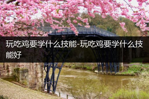 玩吃鸡要学什么技能-玩吃鸡要学什么技能好