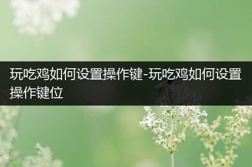 玩吃鸡如何设置操作键-玩吃鸡如何设置操作键位