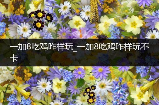 一加8吃鸡咋样玩_一加8吃鸡咋样玩不卡