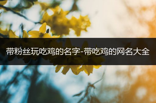 带粉丝玩吃鸡的名字-带吃鸡的网名大全