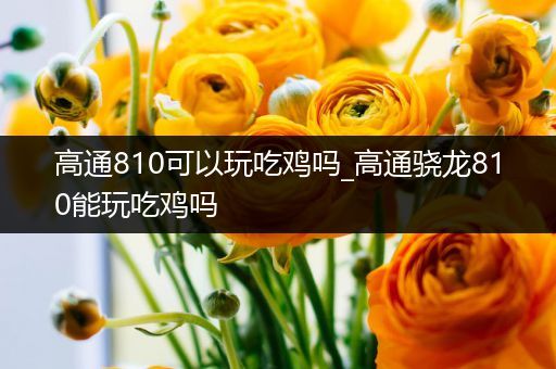 高通810可以玩吃鸡吗_高通骁龙810能玩吃鸡吗