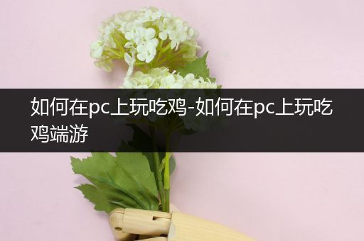 如何在pc上玩吃鸡-如何在pc上玩吃鸡端游