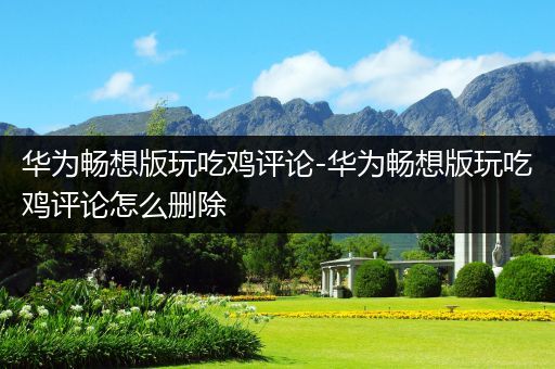 华为畅想版玩吃鸡评论-华为畅想版玩吃鸡评论怎么删除