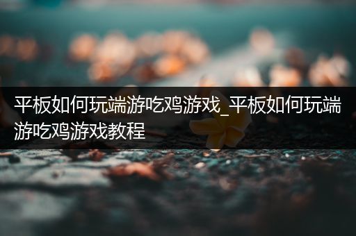 平板如何玩端游吃鸡游戏_平板如何玩端游吃鸡游戏教程