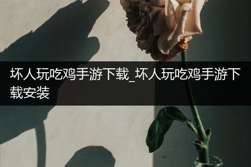 坏人玩吃鸡手游下载_坏人玩吃鸡手游下载安装