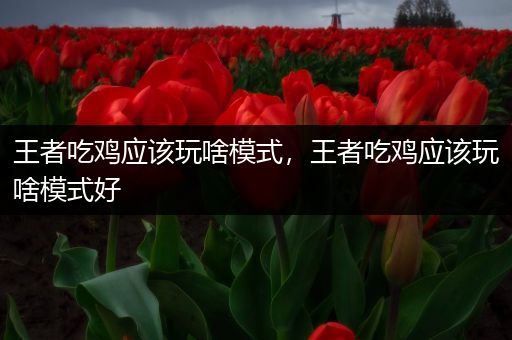 王者吃鸡应该玩啥模式，王者吃鸡应该玩啥模式好