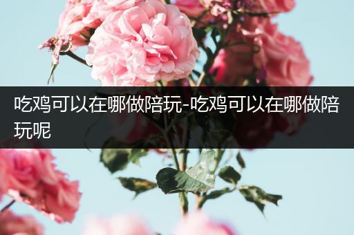 吃鸡可以在哪做陪玩-吃鸡可以在哪做陪玩呢
