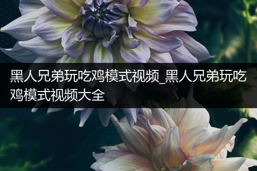 黑人兄弟玩吃鸡模式视频_黑人兄弟玩吃鸡模式视频大全