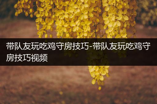 带队友玩吃鸡守房技巧-带队友玩吃鸡守房技巧视频