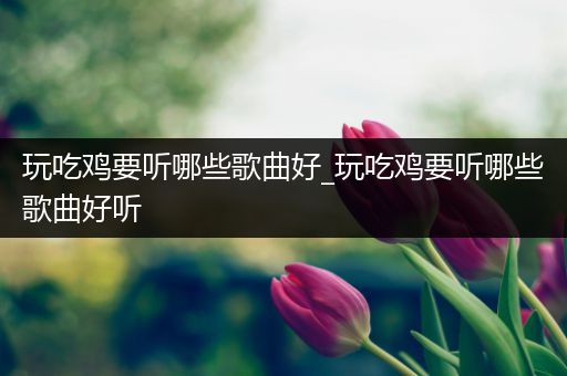 玩吃鸡要听哪些歌曲好_玩吃鸡要听哪些歌曲好听