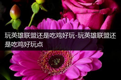 玩英雄联盟还是吃鸡好玩-玩英雄联盟还是吃鸡好玩点