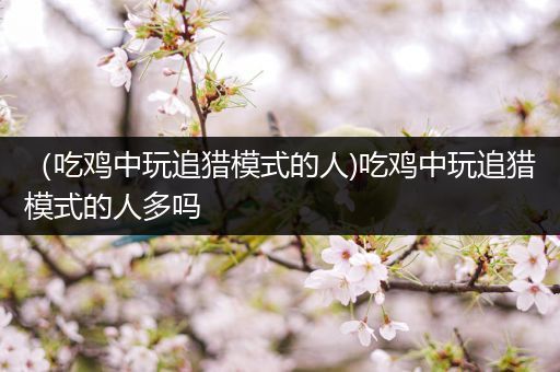 （吃鸡中玩追猎模式的人)吃鸡中玩追猎模式的人多吗