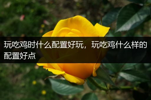 玩吃鸡时什么配置好玩，玩吃鸡什么样的配置好点