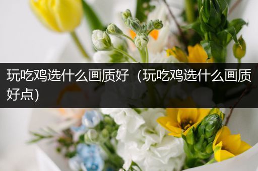 玩吃鸡选什么画质好（玩吃鸡选什么画质好点）