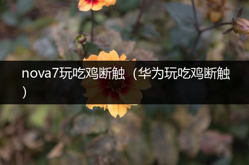 nova7玩吃鸡断触（华为玩吃鸡断触）