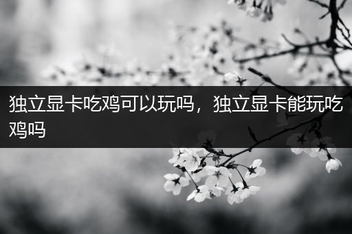 独立显卡吃鸡可以玩吗，独立显卡能玩吃鸡吗