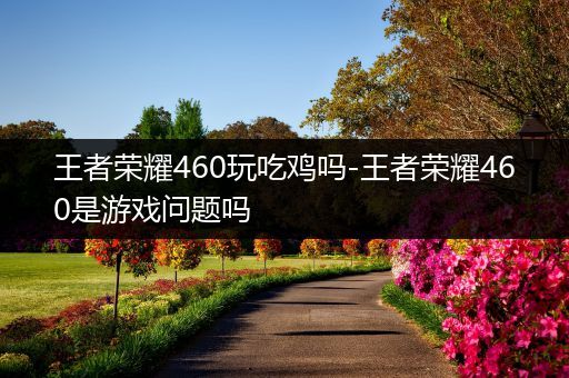 王者荣耀460玩吃鸡吗-王者荣耀460是游戏问题吗